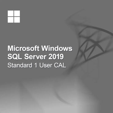 Microsoft SQL Server 2019 Standard 1 Bruger CAL